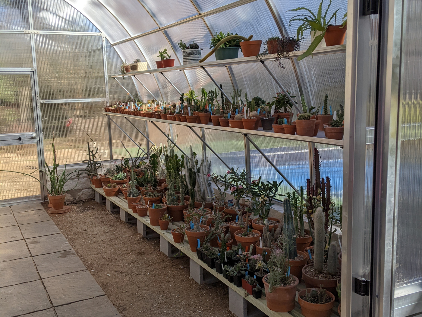 gshelves & storage in exaco greenhouses