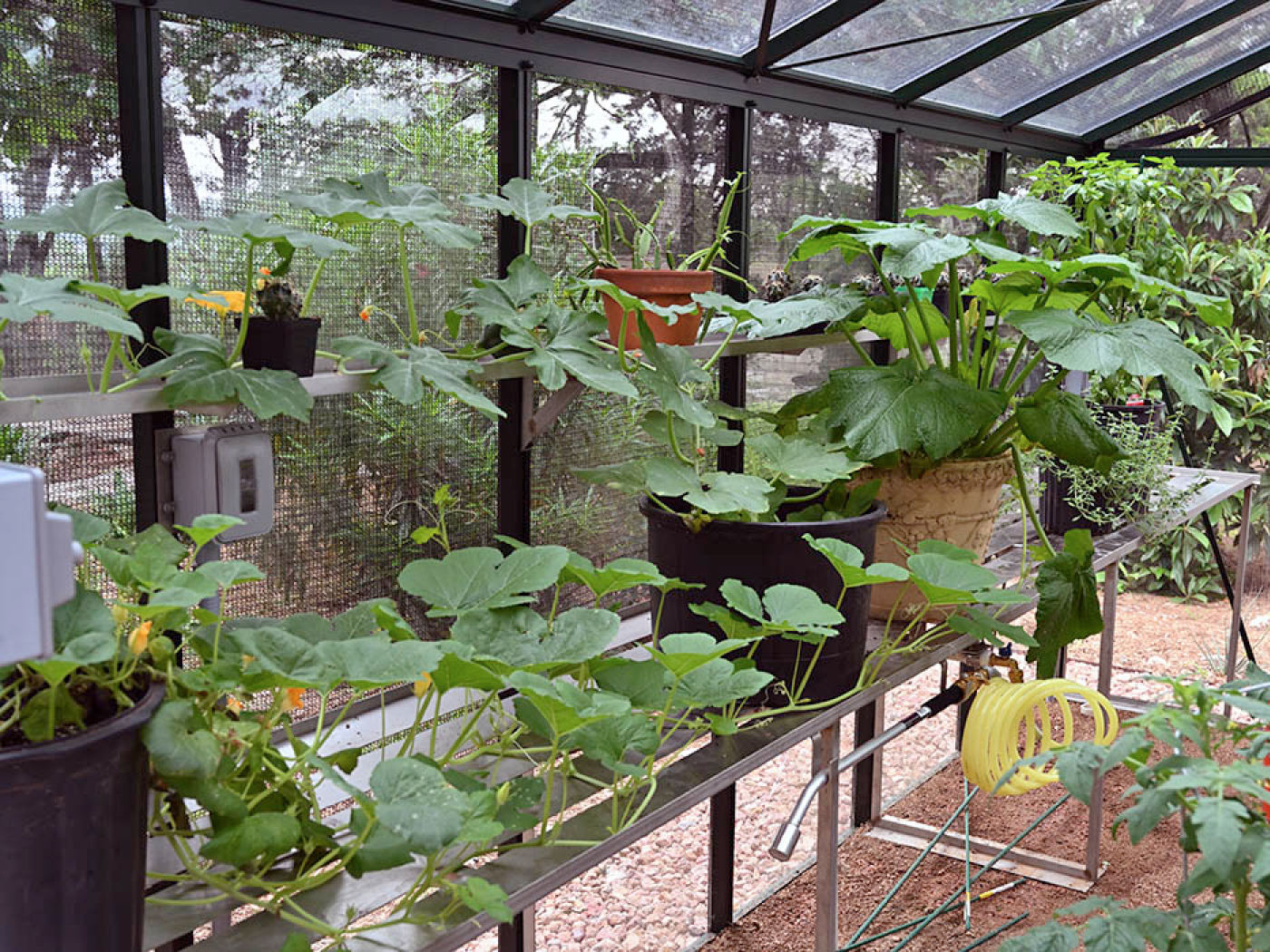 gshelves & storage in exaco greenhouses