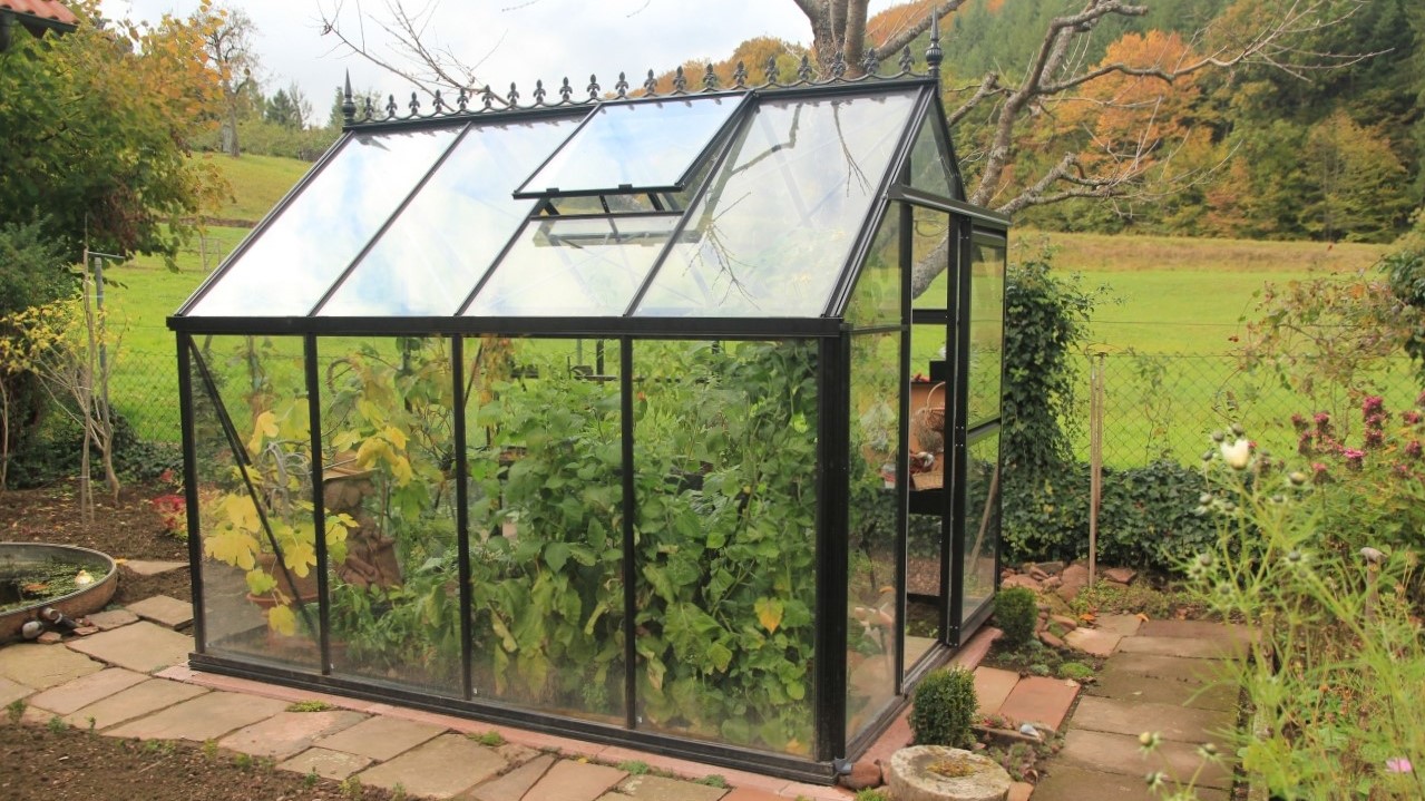 junior victorian greenhouse