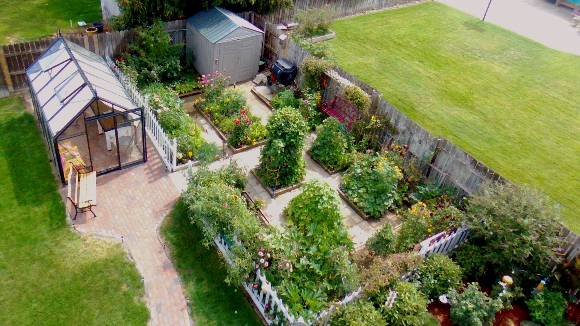 junior victorian greenhouse