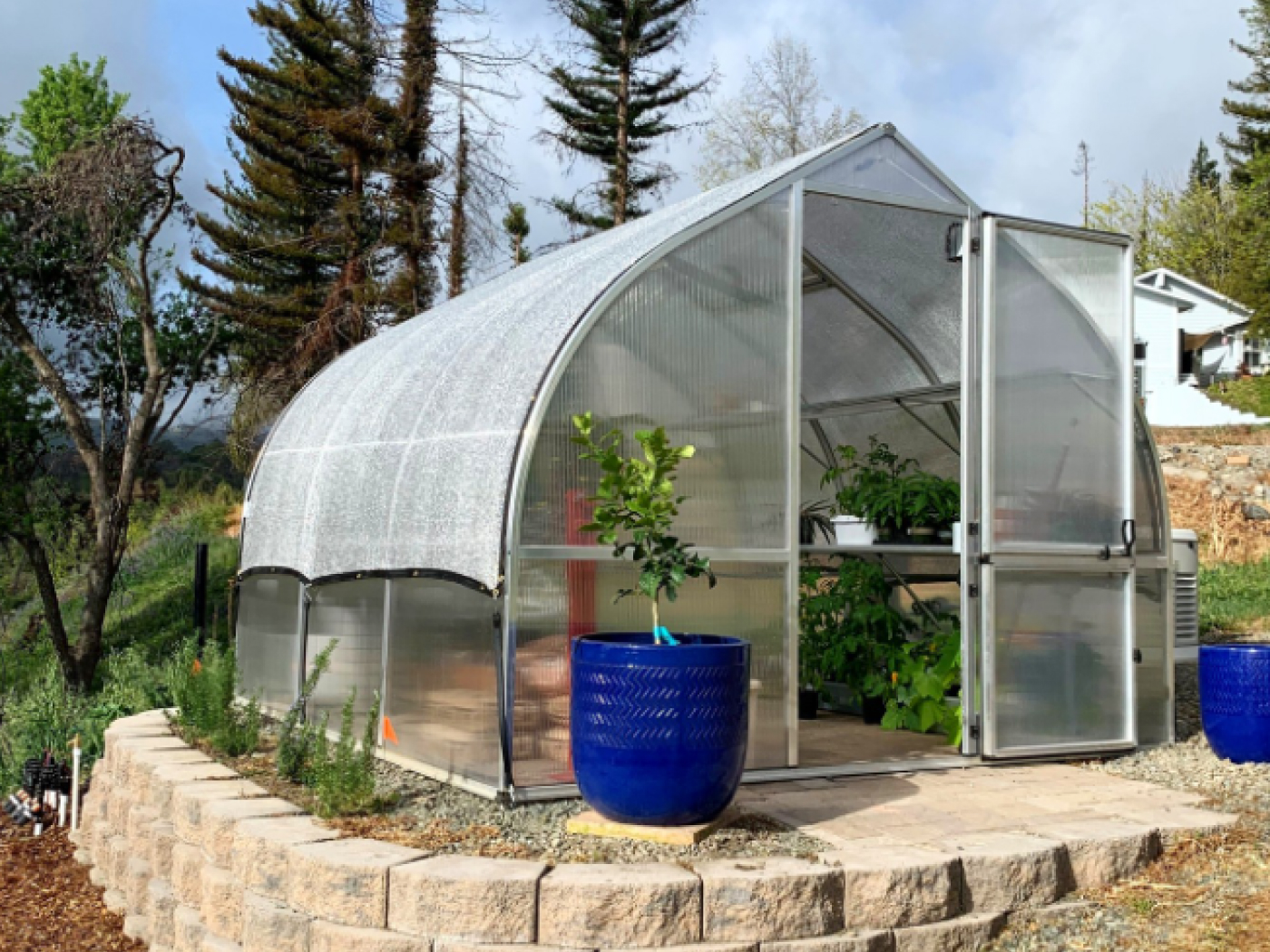 riga greenhouse