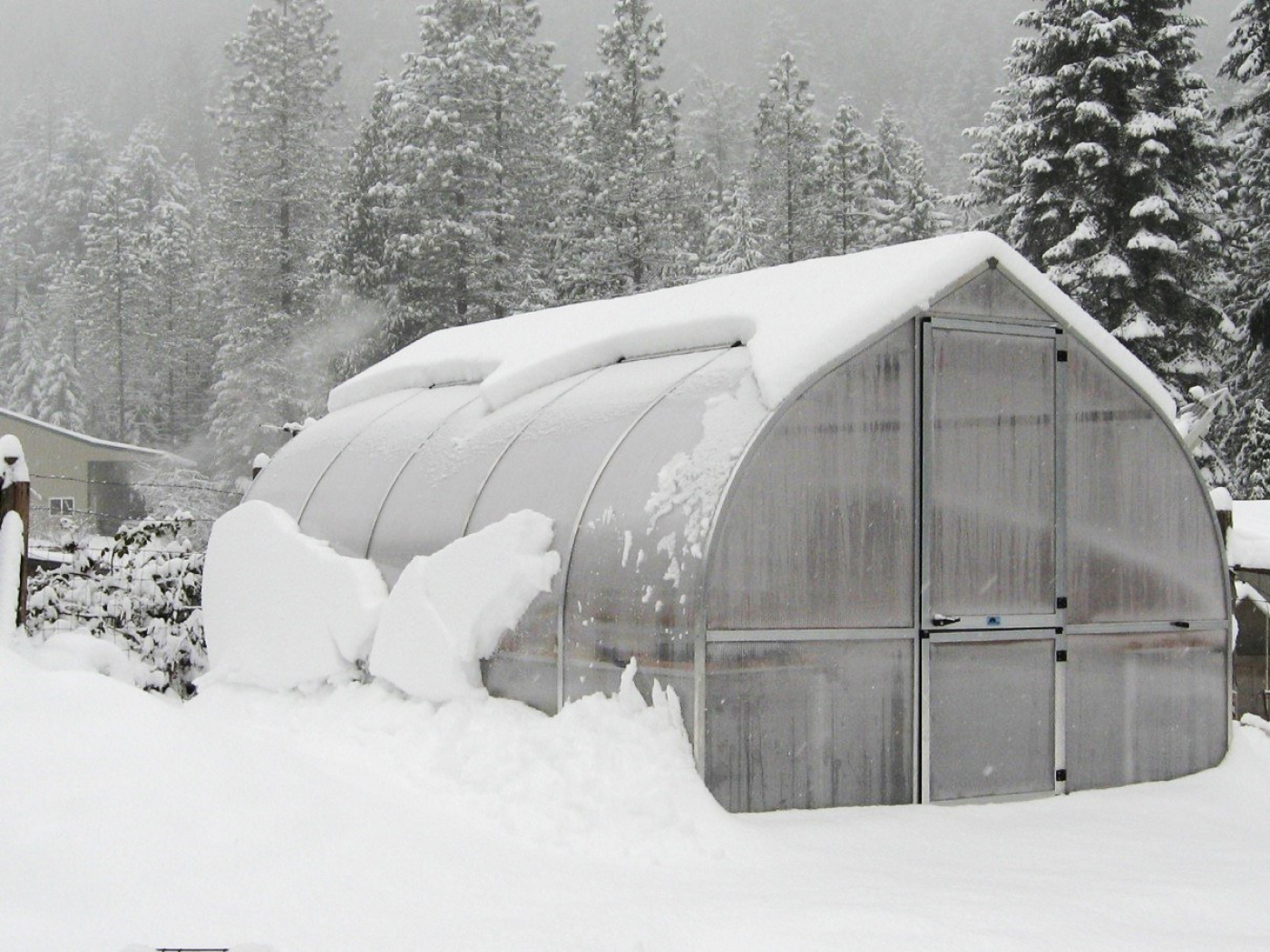 riga greenhouse